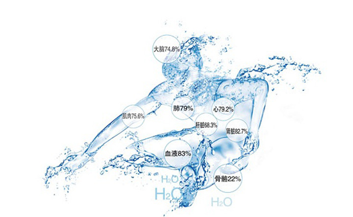 水与人体器官和健康的关系